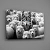 Wolf in Sheep's Clothing Glass Wall Art || Designer Collection by Insigneart USA
