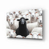 The Difference of the Black Lamb Flock Glass Wall Art || Designer Collection by Insigneart USA