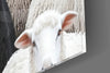 The Difference of the Black Lamb Flock Glass Wall Art || Designer Collection by Insigneart USA