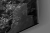 Monochrome Deer Glass Wall Art || Designer Collection by Insigneart USA