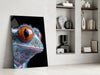 Cosmic Eyes Glass Wall Art || Designer Collection by Insigneart USA