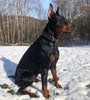 The ''Cobra'' collar by Bestia Dog Gear