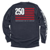 America 250 Years Anniversary Flag by Shield Republic