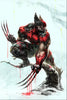 [FOIL] Ultimate Universe: One Year In #1 Unknown Comic Ivan Tao Exclusive Virgin Convention PREMIUM Var (12/11/2024) by Unknown Comic Books