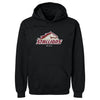 Birmingham Stallions Primary Logo WHT by 500 LEVEL