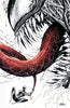 VENOM #1 UNKNOWN COMIC BOOKS EXCLUSIVE TYLER KIRKHAM VIRGIN COLOR SPLASH 5/9/2018 by Unknown Comic Books