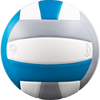 Lexum Microfiber Volleyball