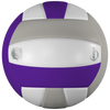 Lexum Microfiber Volleyball