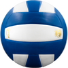 Perfection Leather Volleyball