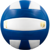 Perfection Leather Volleyball