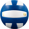 Perfection Leather Volleyball