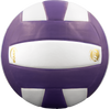 Perfection Leather Volleyball