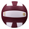 Perfection Leather Volleyball