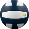 Perfection Leather Volleyball