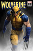 WOLVERINE #4 UNKNOWN COMICS RAFAEL GRASSETTI EXCLUSIVE VAR (12/04/2024) by Unknown Comic Books