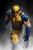 WOLVERINE #4 UNKNOWN COMICS RAFAEL GRASSETTI EXCLUSIVE VIRGIN VAR (12/04/2024) by Unknown Comic Books