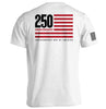 America 250 Years Anniversary Flag by Shield Republic