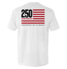 America 250 Years Anniversary Flag by Shield Republic