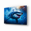 Shark Glass Wall Art by Insigneart USA