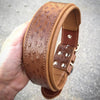 The "Ostrich" collar LIMITED by Bestia Dog Gear