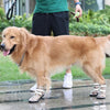 Waterproof Shoes For Pets Splash Proof Large Dogs by My Store