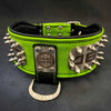 The ABKC Collar by Bestia Dog Gear