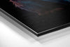 Cat Brushed Aluminum Dibond Wall Art by Insigneart USA