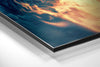 Mutant Brushed Aluminum Dibond Wall Art by Insigneart USA