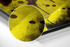 Joker Brushed Aluminum Dibond Wall Art by Insigneart USA