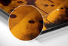 Joker Brushed Aluminum Dibond Wall Art by Insigneart USA