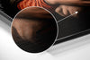 Mona Lisa with a Cat Brushed Aluminum Dibond Wall Art by Insigneart USA
