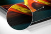 Froglet Brushed Aluminum Dibond Wall Art by Insigneart USA