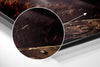 Kratos - God of War Brushed Aluminum Dibond Wall Art by Insigneart USA