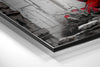 Dragon Brushed Aluminum Dibond Wall Art by Insigneart USA