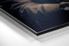 Elephant the Gentleman Brushed Aluminum Dibond Wall Art by Insigneart USA