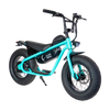 AR Atom 1000 Watt Mini Electric Bicycle