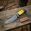 Frontier Clip Point Bowie Knife, Forged Damascus Steel with Colored Bone & Wood Spacer Handle by JW SteelCrafts