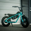 AR Atom 1000 Watt Mini Electric Bicycle