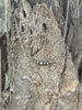 Authentic Graduated Silver Pearls Chain Necklace by Wild Junkie