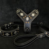 "AZTEC" BIG dog SET - Harness - collar - lead. Black by Bestia Dog Gear