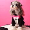 Dog Clothes Stitching Zipper Pullover Sweater by My Store