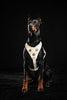 The "Maximus" harness White by Bestia Dog Gear