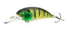 B8LAB Ultimate Strike Shad Bundle