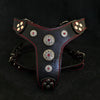 The ''Bijou'' harness Black & Red Small to Medium Size by Bestia Dog Gear