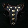 ''Bijou'' harness Black & Orange for big dogs by Bestia Dog Gear