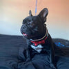 The "Bowtie" collar black by Bestia Dog Gear