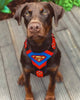 Superdog Harness Medium Size by Bestia Dog Gear