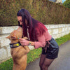 The ''D`Albertis'' collar by Bestia Dog Gear