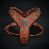 The ''Maximus'' harness brown & silver Small to Medium Size by Bestia Dog Gear
