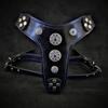 The ''Bijou'' harness Black & Blue Small to Medium Size by Bestia Dog Gear